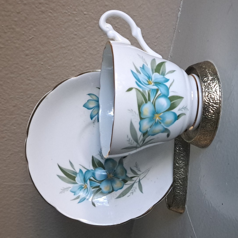 Vintage TEACUP & Saucer Consort Bone China England (A3)